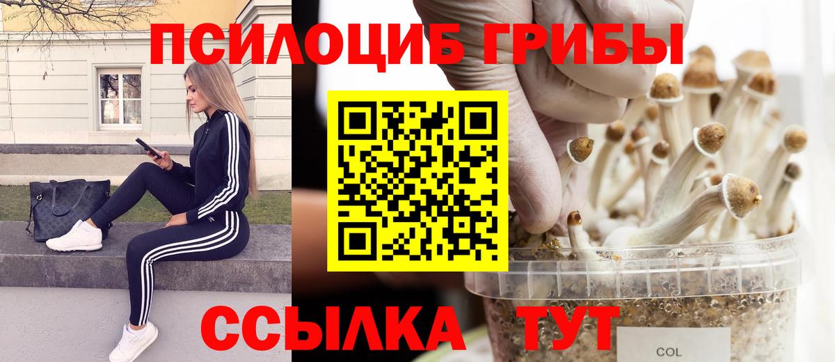 Борзя  Галлюциногенные грибы Psilocybe  Вход с VPN  Псилоцибиновые грибы Magic Shrooms 